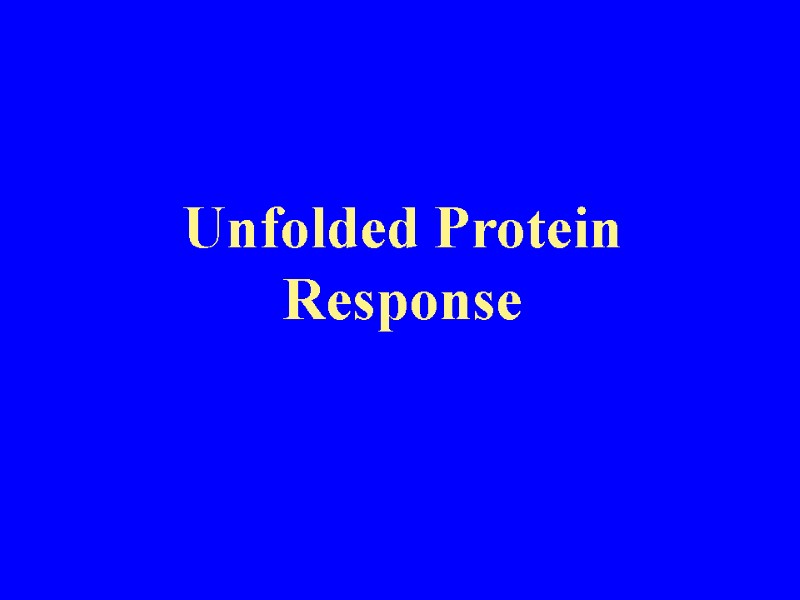Unfolded Protein Response